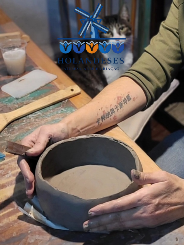 Holandeses Lab Operação